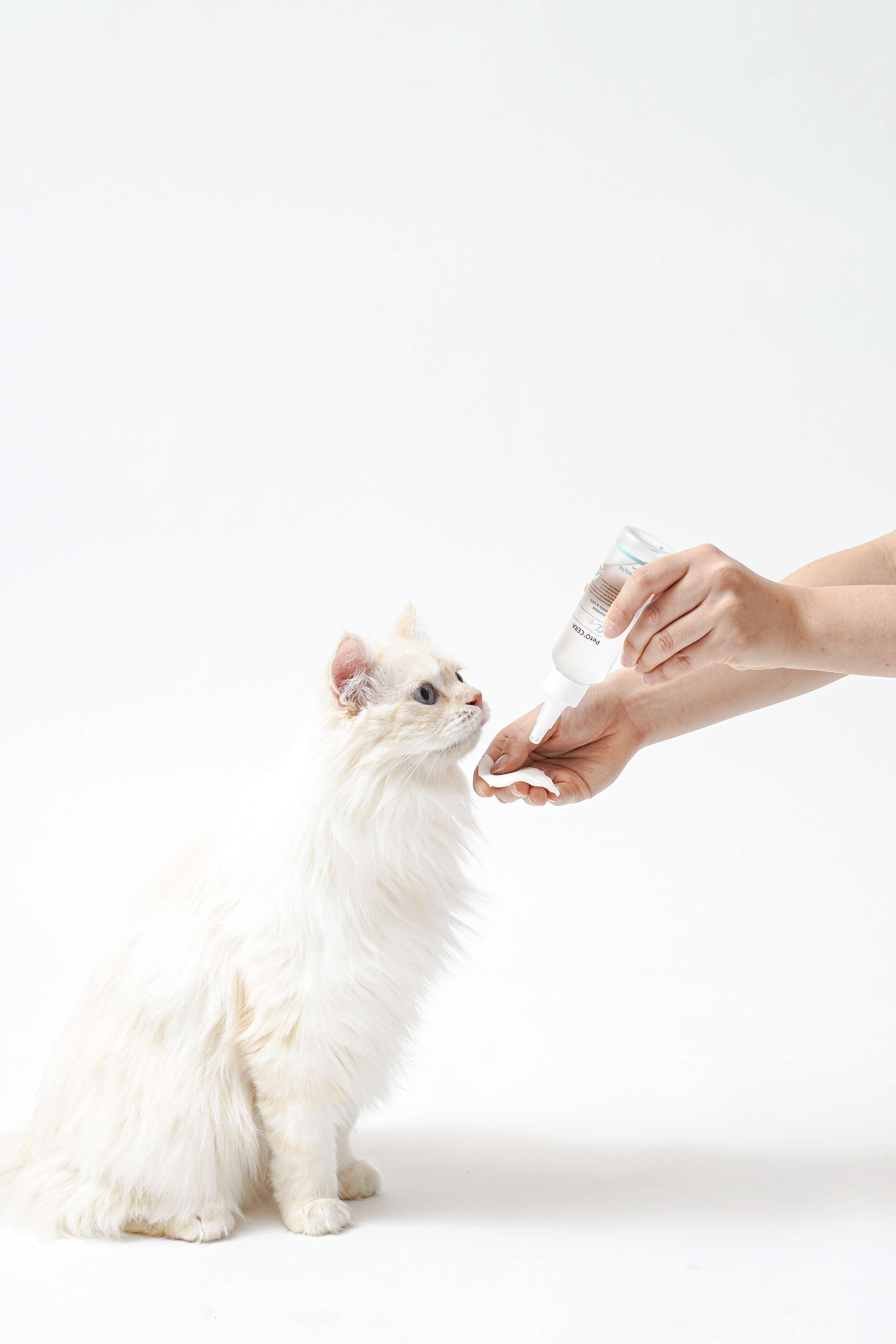 The Hidden Dangers of Pet Ear Infections — And How to Prevent Them Naturally