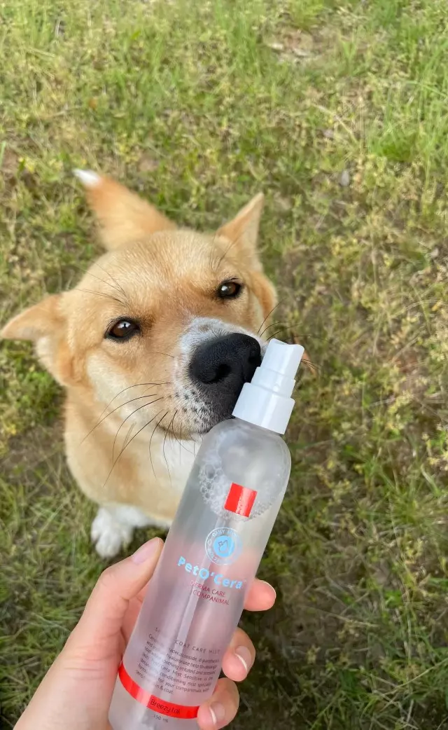 7 Common Causes of Sensitive Skin in Dogs and How to Soothe Them Naturally